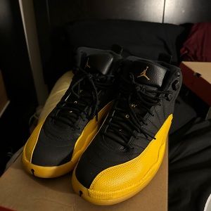 Air jordan 12s